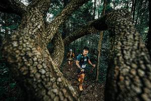 BIB: 
                            <button type="button" onclick="openModal(25392950)" class="btn btn-primary btn-sm float-right btn-popup" data-toggle="modal" data-target=".modal-high-quality">
                        <i class="fas fa-shopping-cart"></i> Add to Cart
                    </button>
                                            <button type="button" onclick="isThisMe(25392950, true)" class="btn btn-success btn-sm float-right btn-popup btn-isme hidden" data-toggle="tooltip" data-placement="bottom" title="นี่คือรูปของคุณใช่ไหม คลิกที่นี่เพื่อเอาเข้าอัลบั้ม">
                        <i class="fas fa-plus"></i> Add to album
                    </button>
                    <button type="button" onclick="isThisMe(25392950, false)" class="btn btn-warning btn-sm float-right btn-popup btn-isnotme hidden">
                        <i class="fas fa-ban"></i> Remove from album
                    </button>